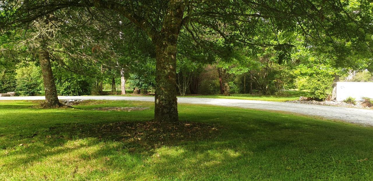 Lake Brunner Country Motel & Holiday Park Moana Extérieur photo